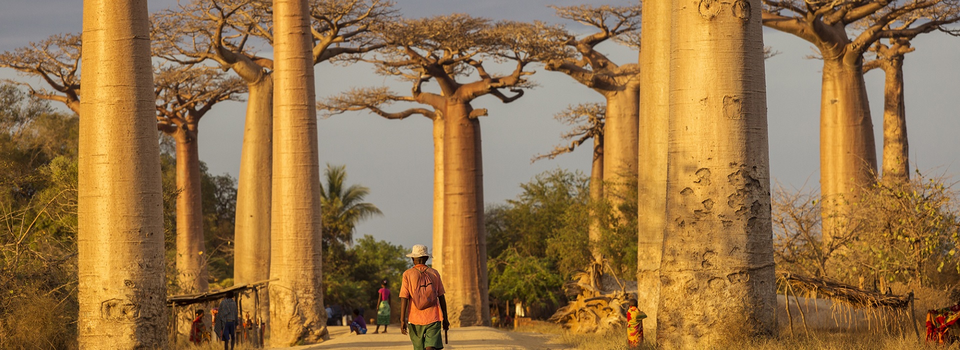 Pasipaoro Malagasy