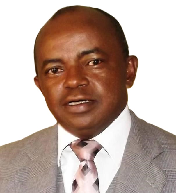 RAKOTOARIVONJY TSITOHAINA Stevenson